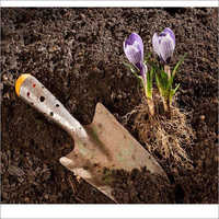 Organic Manure