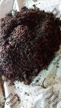 Vermi Compost Fertilizer