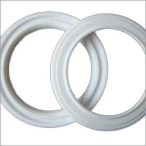 PTFE Seals