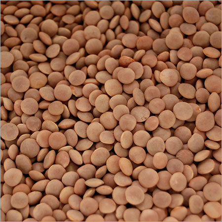 Red Lentils With Husk
