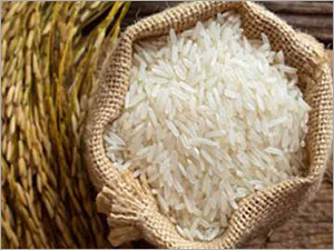 Organic Rice