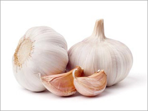 Organic Garlic