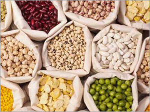 Fresh Legumes