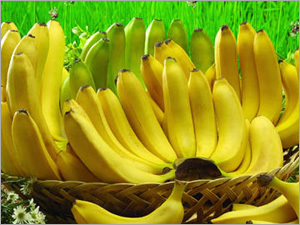 Organic Fresh Banana