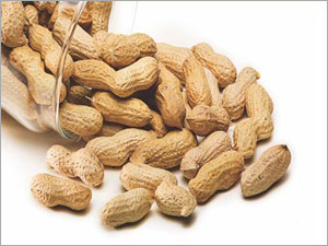Ground Nuts