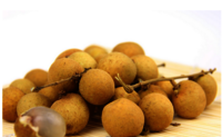 Lychee Tree Seed