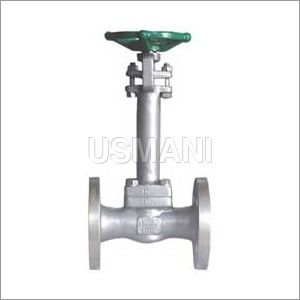 Cryogenic Valve Flanged end