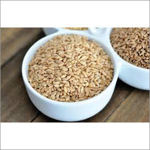 Clean Wheat