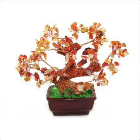 Cornelian Bonzai Tree