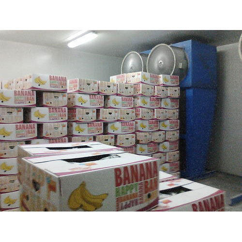 Banana Ripening Chambers