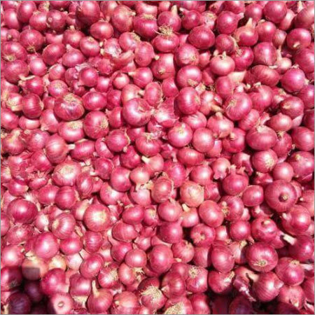 Fresh Red Onion