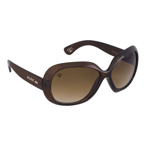 sunglass