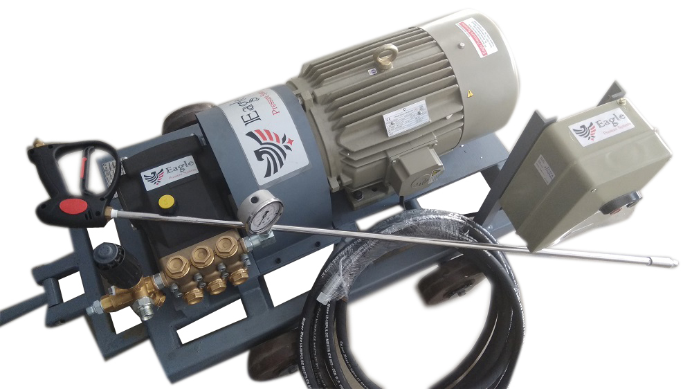 Reciprocating Piston Pump