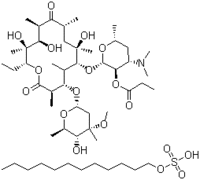 Erythromycin Estolate - C52h97no18s, 1kg Packaging Size, High Protein Binding 50-70%