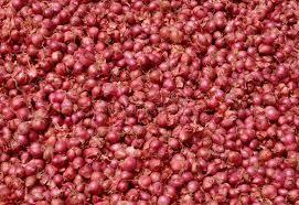 Small Red Onion