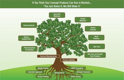 Hair Care Products third party manufacturing