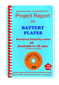 Battery Plates Manufacturing Project Report Ebook
