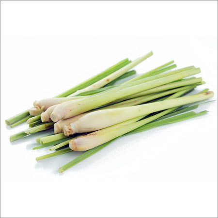 Lemon Grass