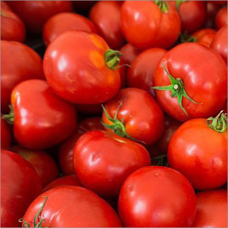 Indian Tomato