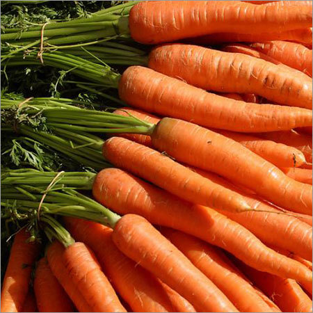 Fresh Carrot