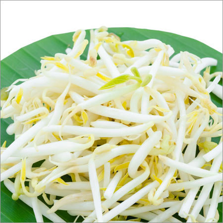 Beans Sprout