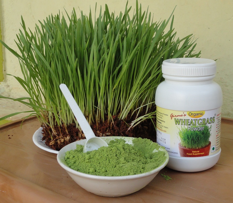 Wheatgrass Powder Bottle