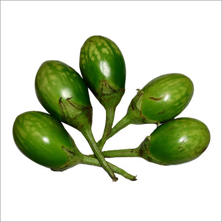 Fresh Green Brinjal