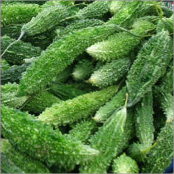 Fresh Bitter Gourd