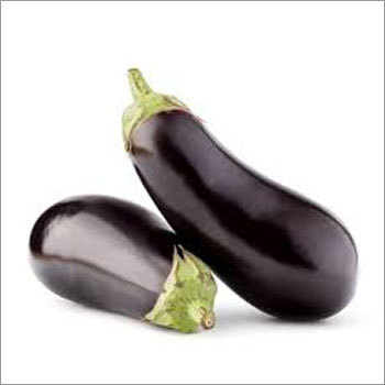 Fresh Aubergine