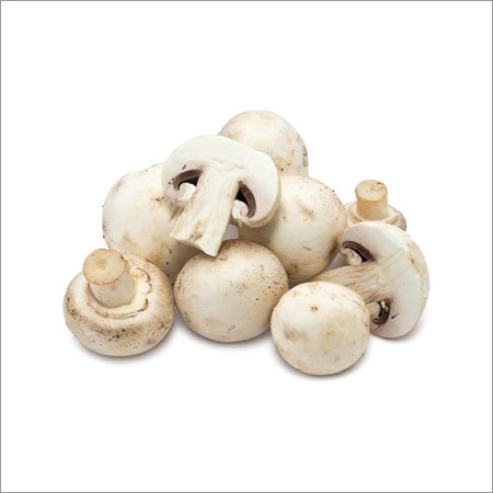 Fresh Button Mushroom