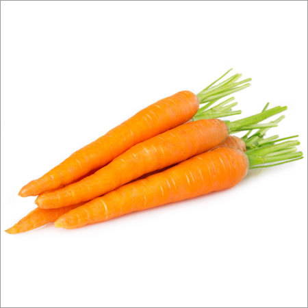 Fresh Carrot