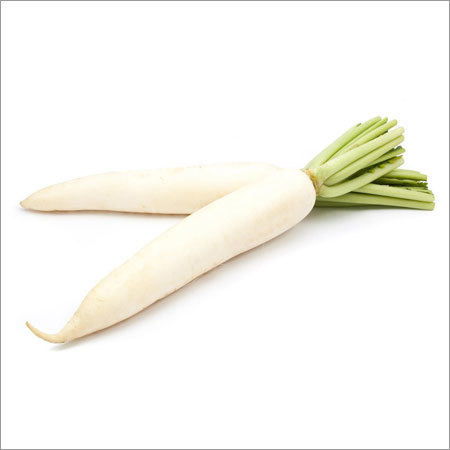 Fresh White Long Radish