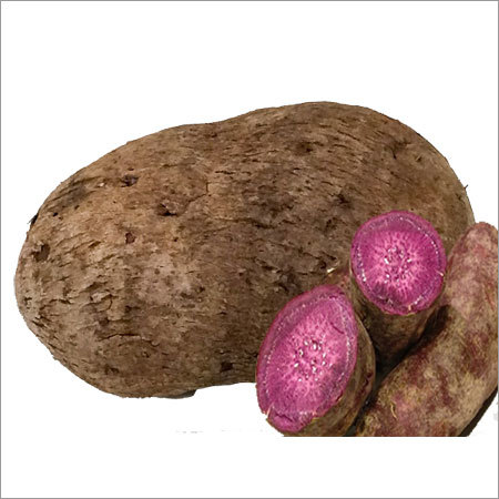 Fresh Purple Yam
