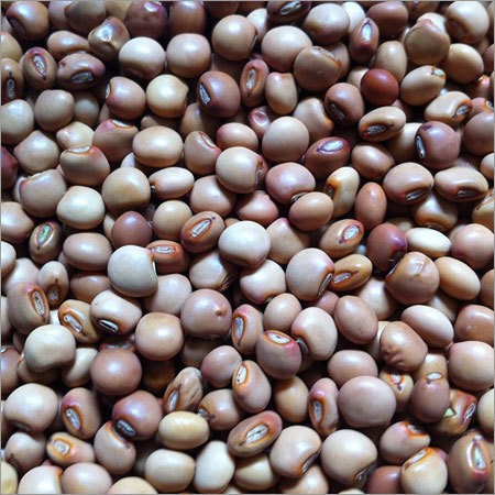 Fresh Pigeon Peas