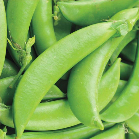 Fresh Pea Seeds