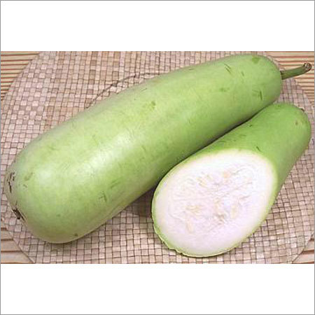Fresh White Gourd