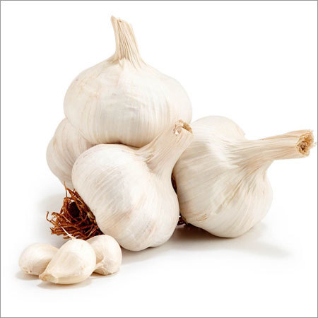 White Garlic