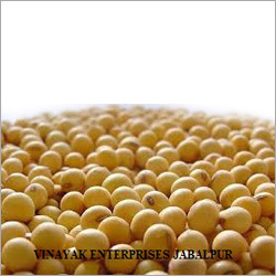 Fresh Soya Bean