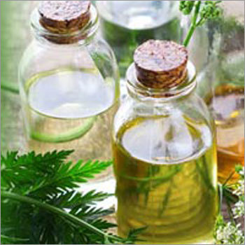 Herbal Liquid Extracts