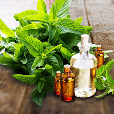 Basil Oil