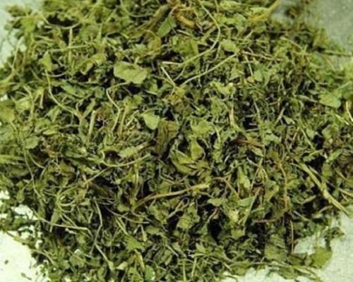 Kasoori methi