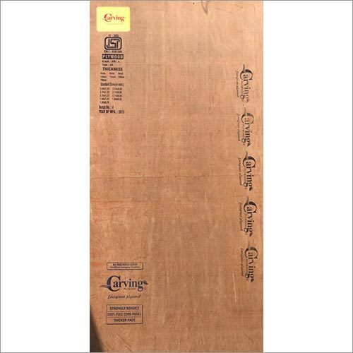 Plywood Flush Door