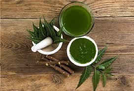 NEEM Powder