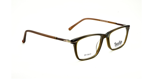 Acetate Tuulip Tp-179 Brown & Yellow Shine Frame