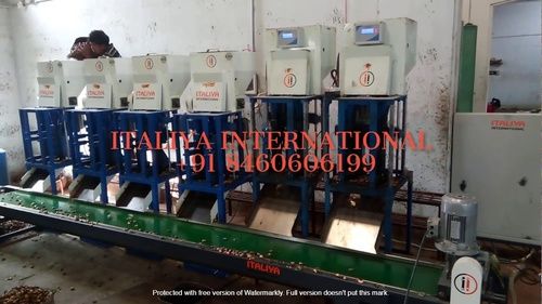 Automatic Cashew Cutting Machine