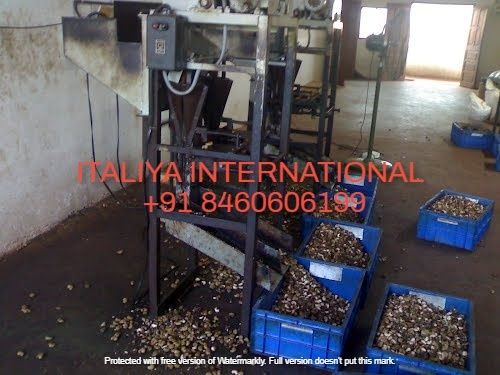 Automatic Cashew Shelling Machine