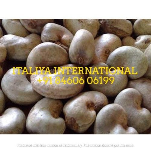 Brown Local Raw Cashew Nut