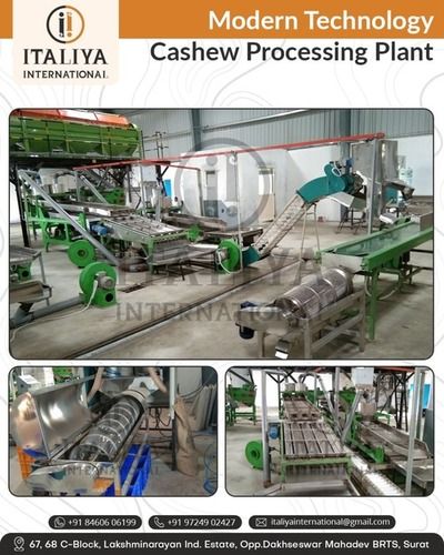 Cashew Cutting Line