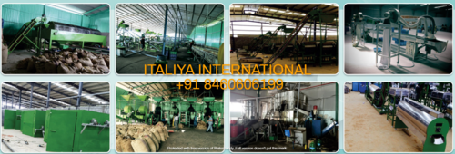 Cashew Machine Cashew Machine