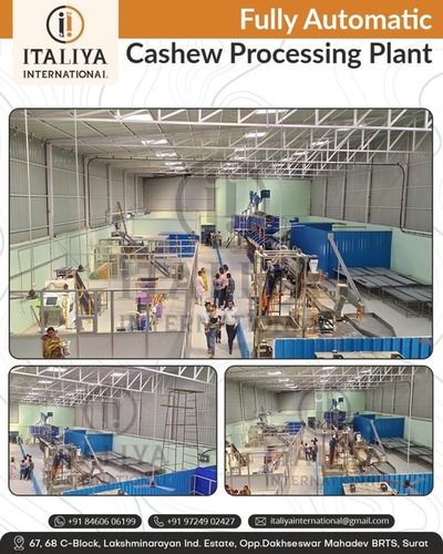 Cashew Nut Processing Machinery - Material: Stainless Steel